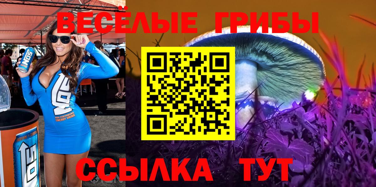 Галлюциногенные грибы мицелий Ливны