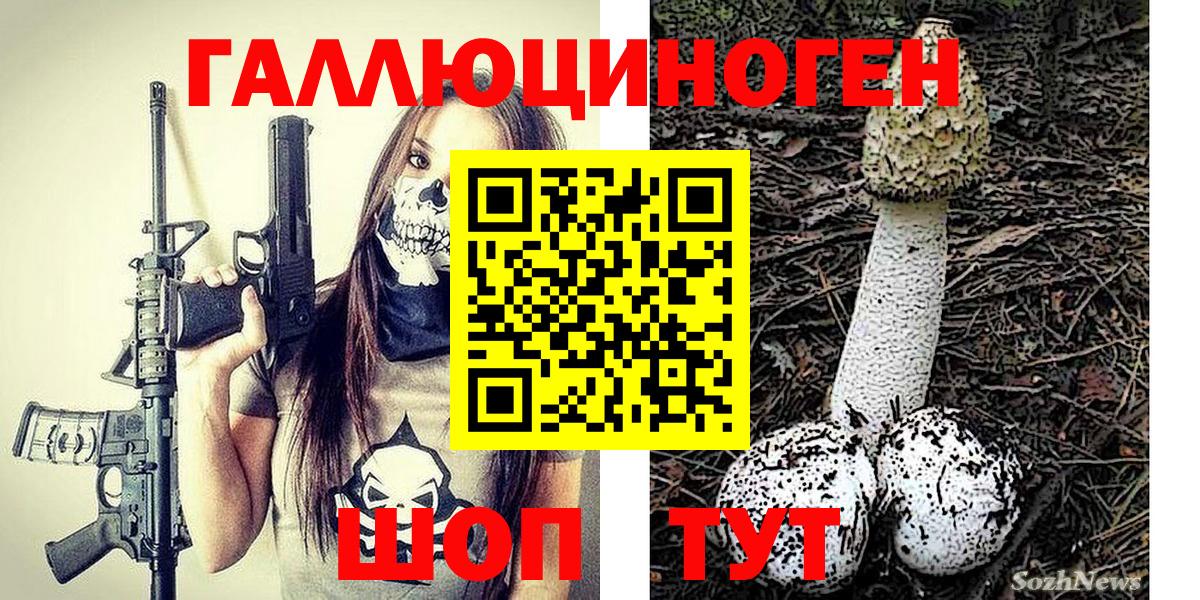 Ливны  где продают наркотики  Вход с VPN  Галлюциногенные грибы Psilocybe 